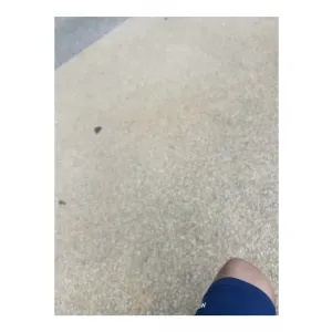 쓰나미 기부해주거나 1만원에삼 직거 아니면 택거