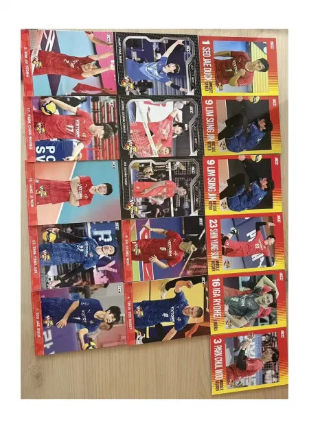 남자배구 한국전력 코보카드 양도