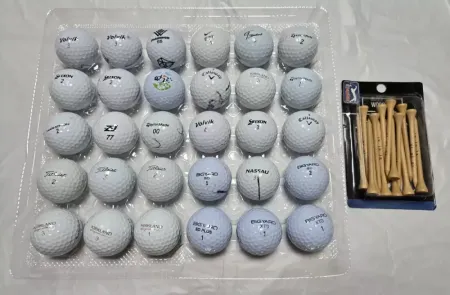 메이커모음 로스트볼 30개 팔아요